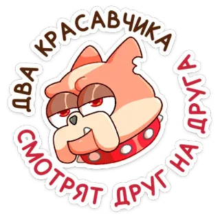 😏 ДВА СМОТРЯТ ДРУГА НА КРАСАВЧИКА ДРУГА chien, dessin animé, autocollant, mignon, animal telegram sticker