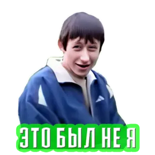 🙅‍♂️ ЭТО БЫЛ НЕ Я telegram sticker