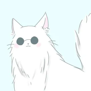 🐈 Katze, Brille, Weiß, Süß, Tier, Haustier telegram sticker