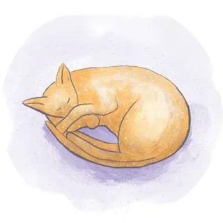 😴 cat, sleeping, animal, pet, cute, feline, domestic cat, relaxed whatsapp sticker