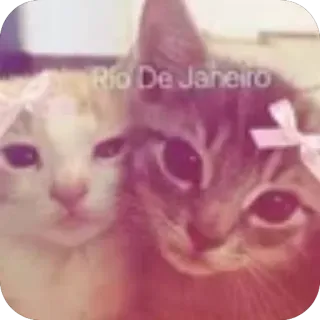 🐱 Rio De Janeiro whatsapp sticker