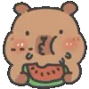 🍉