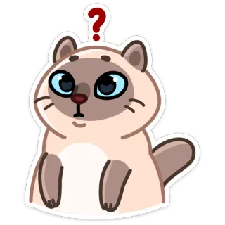 ❓ кот, вопросительный знак, в замешательстве, наклейка, мультик, милый telegram sticker