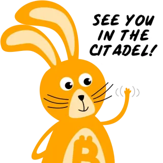 👋 SEE YOU IN THE CITADEL! rabbit, citadel, bitcoin, cryptocurrency, orange, animal, cartoon telegram sticker