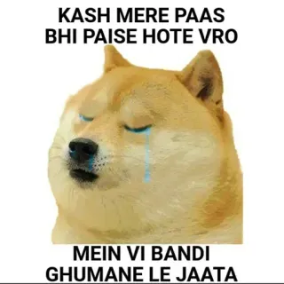 😁 Doge Doge Meme KASH MERE PAAS BHI PAISE HOTE VRO MEIN VI BANDI GHUMANE LE JAATA telegram sticker