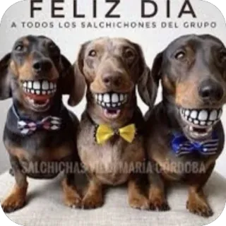 🫥 FELIZ DIA A TODOS LOS SALCHICHONES DEL GRUPO SALCHICHAS VILLA MARIA CORDOBA whatsapp sticker