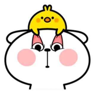 😌 animal, poussin, dessin animé, mignon, lapin, ours telegram sticker