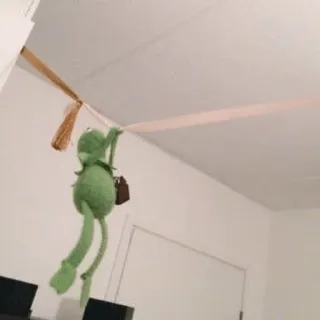 💃 Kermit Kermit la Grenouille, marionnette, suspendu, drôle, mème telegram sticker
