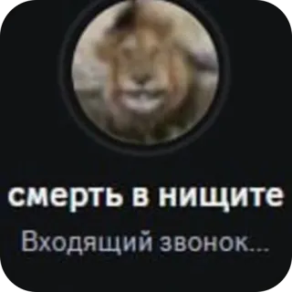 🫥 смерть в нищите Входящий звонок... lion, meme, phone, call, incoming, text, notification telegram sticker
