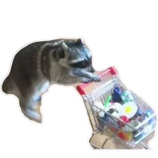 🛒 Waschbär, Einkaufswagen, Spielzeug, Tier, lustig, süß telegram sticker