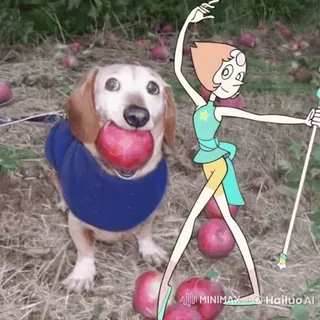 Doggo apple @TgSticker whatsapp stickers