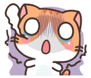 🥴 mèo, hoạt hình, cảm xúc, sợ hãi, sốc, ngạc nhiên whatsapp sticker