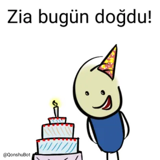 🎂 Zia bugün doğdu! birthday, celebration, cake, party, cartoon telegram sticker
