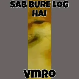 🥺 SAB BURE LOG HAI
VMRO 犬, ミーム, 面白い, Doge, ヒンディー語 telegram sticker