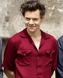 💞 Harry Styles แฮร์รี่ สไตลส์, นักร้อง, คนดัง, ป็อปสตาร์, วันไดเรกชัน telegram sticker