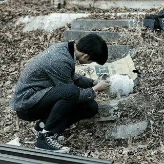 🥀 남자, 고양이, 애완동물, 야외, 웅크린, 컨버스, 운동화 telegram sticker