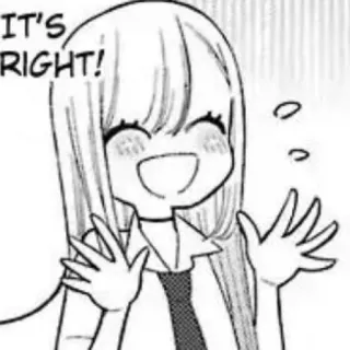 📀 IT'S RIGHT! Manga, Anime, Fille, Joyeux, Souriant, Excité telegram sticker