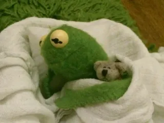 🐸 rana, peluche, coperta, assonnato, carino, peluche, giocattolo telegram sticker