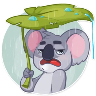 ☔ koala, pluie, triste, feuille, animal, dessin animé telegram sticker