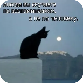 🤕 иногда вы скучаете по воспоминаниям, а не по человеку. cat, silhouette, moon, night, quote, russian, loneliness, memories whatsapp sticker