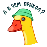 🫤 A GOOD MEME-DUCK duck, meme, cartoon, animal, hat telegram sticker