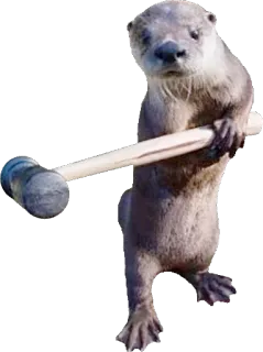 🔨 wydra, zwierzę, młotek, ssak, słodki, śmieszny telegram sticker