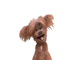 🐶 anjing, boneka, binatang telegram sticker