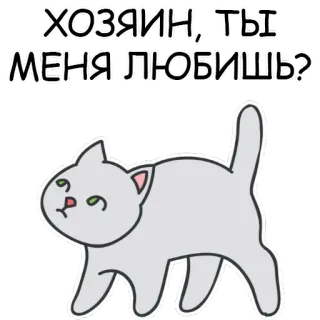 🤪 ХОЗЯИН, ТЫ МЕНЯ ЛЮБИШЬ? cat, sticker, russian, text, cute, animal telegram sticker