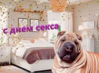 🔞 С днем секса dog, sharpei, birthday, celebration telegram sticker