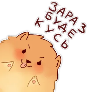 😘 КОГДА РАЗГОВАРИВАЕШЬ หมา, พูด, ปอมเมอเรเนียน, สัตว์, น่ารัก telegram sticker