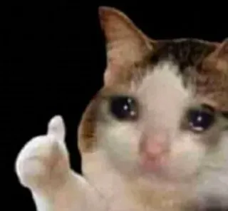 🥺 kot, kciuk w górę, smutny, mem, zwierzę telegram sticker