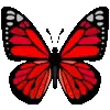 🦋