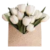 🌷