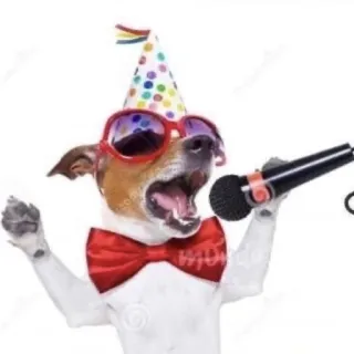 🎤 dog, party, microphone, sunglasses, birthday telegram sticker