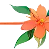 🌺