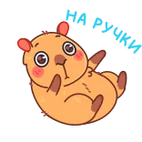🤗 hamster, cute, animal, cartoon, kawaii, lying down telegram sticker