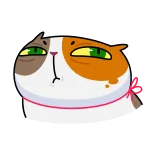 😑 고양이, 동물, 스티커, 만화, 애완 동물 whatsapp sticker