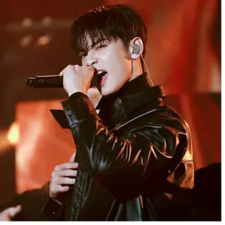 🎤 chanteur, homme, blouson cuir, microphone, performance, k-pop whatsapp sticker