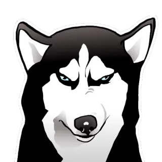 👿 chó, husky, tức giận, động vật, phim hoạt hình telegram sticker