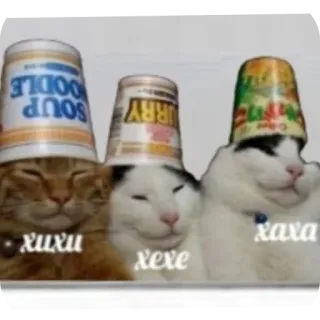 📦 xuxu
xe xe
xaxa chats, animaux, tasse, humour telegram sticker