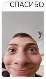 😊 СПАСИБО meme, funny, fisheye, reaction, distorted, smile, thank you telegram sticker