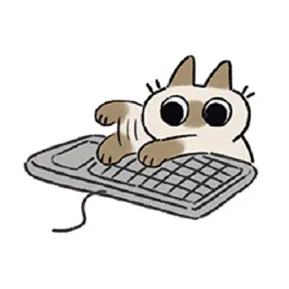 ⌨️ kucing, keyboard, mengetik, internet, hewan whatsapp sticker