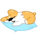 😴