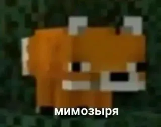 Лисички - @Tg_stickersu whatsapp stickers