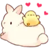 🐇