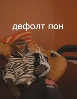 😀 дефолт пон monkey, clothes, animal, funny, meme telegram sticker