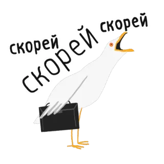 ⚡️ скорей скорей скорей burung, camar, buru-buru, bisnis, koper telegram sticker