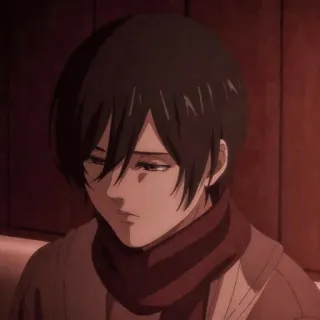⚔ Mikasa Ackerman Attack on Titan anime, cartoon, manga, character, Mikasa, Ackerman, sad telegram sticker