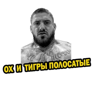 😳 ОХ И ТИГРЫ ПОЛОСАТЫЕ whatsapp sticker