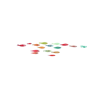 🐟 pez, grupo, colorido, nadando, banco telegram sticker